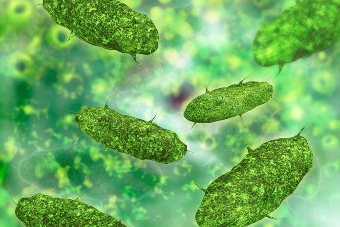 Repousser-les-bacteries-preserver-le-microbiote Repousser les bactéries, préserver le microbiote