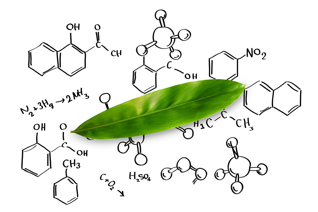 Formation aromathérapie niveau confirmé