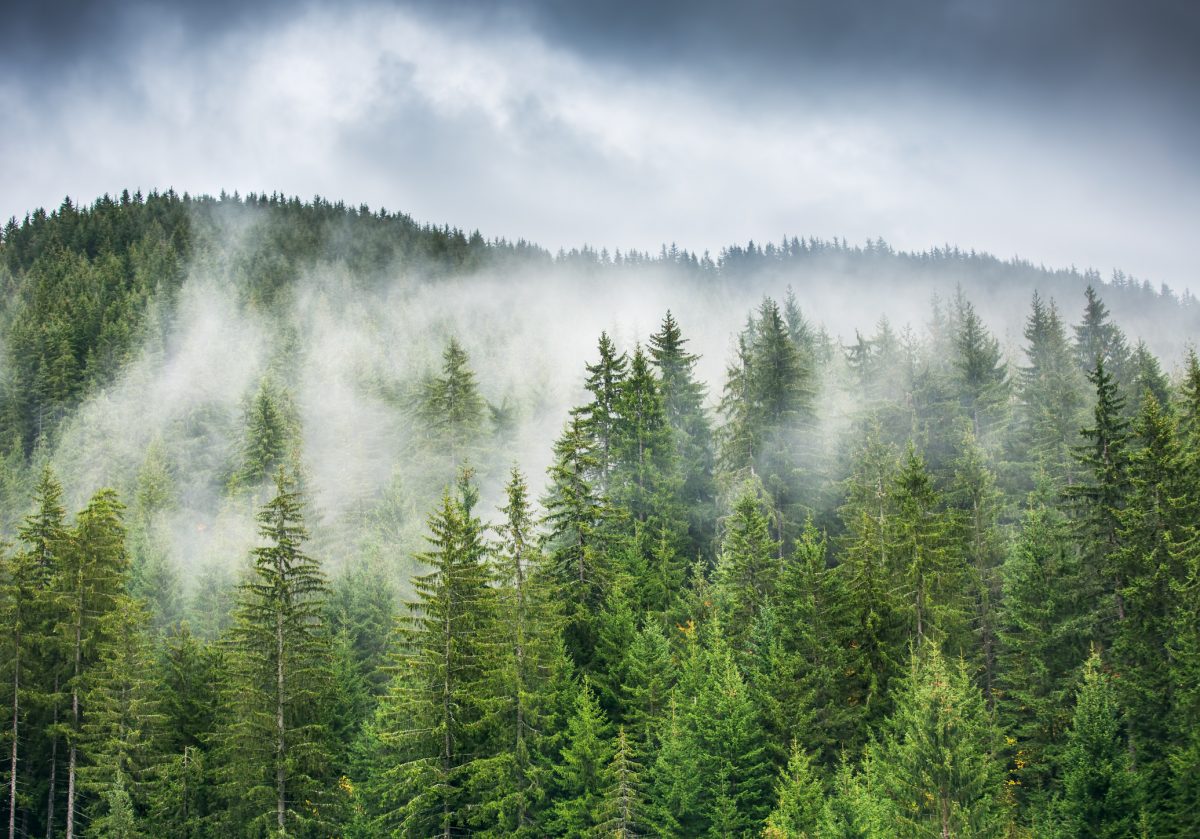 Voici la raison pour laquelle votre toux est aussi persistante cet hiver