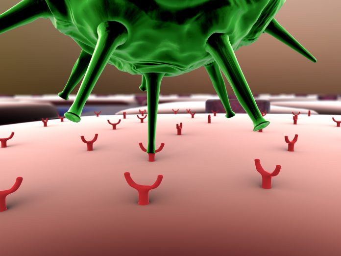 Virus molluscum et huile essentielle Virus molluscum et huile essentielle
