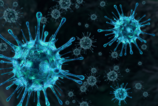 coronavirus-comment-lutter-huiles-essentielles