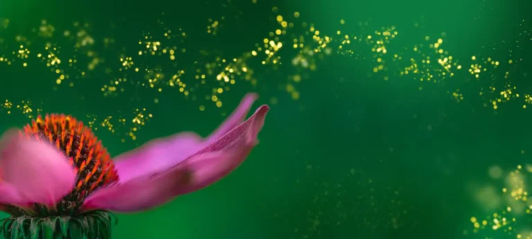 Huiles essentielles et allergies saisonnières : molécules anti-allergiques, efficacité et précautions en aromathérapie