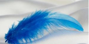 Huiles essentielles traiter psoriasis Huiles essentielles traiter psoriasis