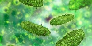 Repousser-les-bacteries-preserver-le-microbiote Repousser les bactéries, préserver le microbiote