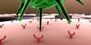 Virus molluscum et huile essentielle Virus molluscum et huile essentielle