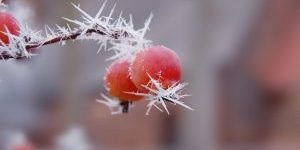 iStock-471931417 iStock-471931417