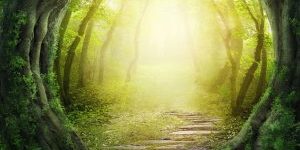 mycoses-huiles-essentielles-traitement-preventifs-et-curatifs Les mycoses : des traitements par les huiles essentielles curatifs et préventifs